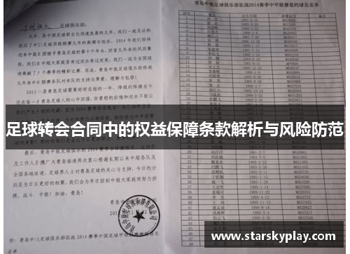 足球转会合同中的权益保障条款解析与风险防范